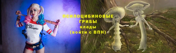 хмурый Алзамай