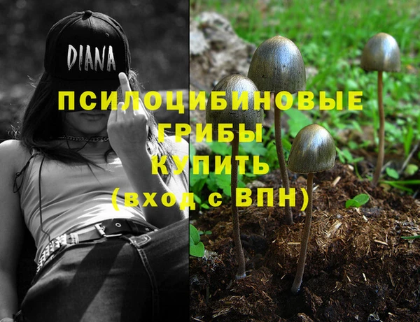 кокаин премиум Алексин