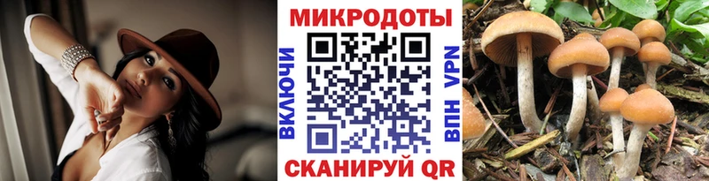 где продают наркотики  кракен ONION  Галлюциногенные грибы ЛСД  Новотроицк 
