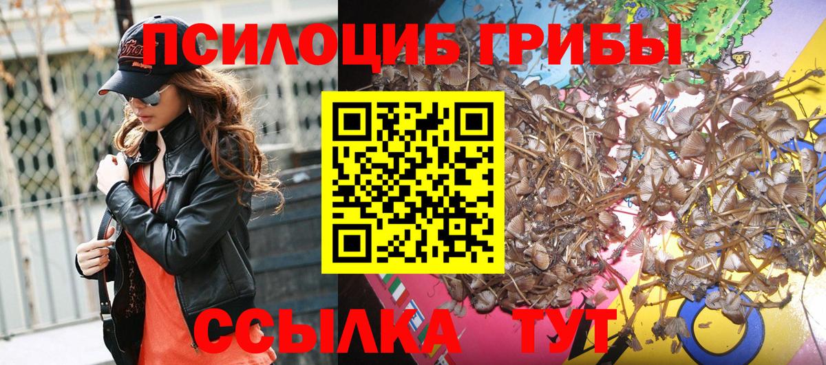 Новотроицк  Псилоцибиновые грибы GOLDEN TEACHER  Вход с VPN 